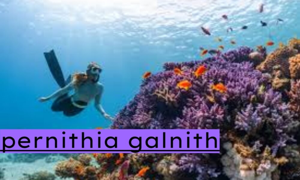 pernithia galnith