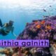 pernithia galnith