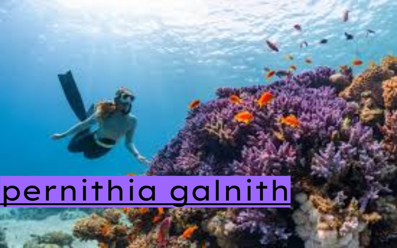 pernithia galnith