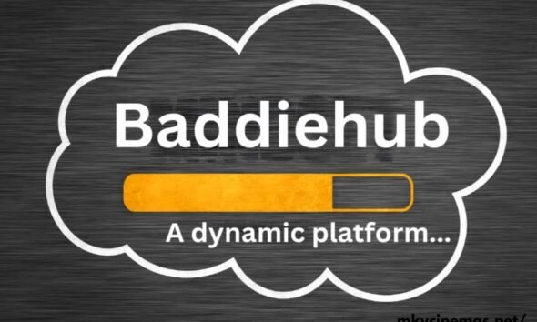 badie hub